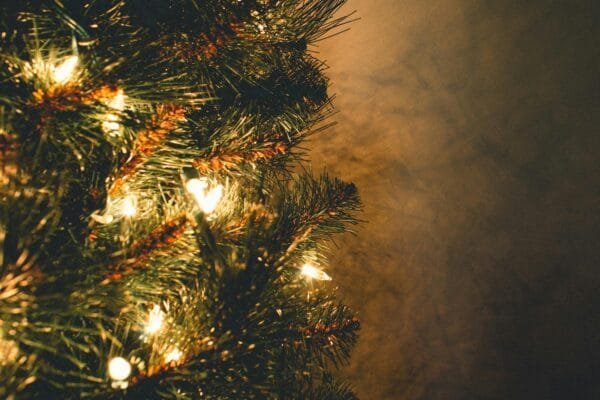 Close up shot of a lit up Christmas tree